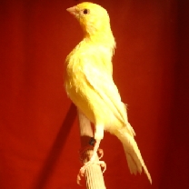 2008_51.jpg