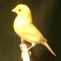 2008_114.jpg