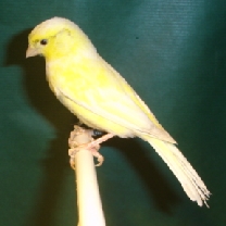 2008_116.jpg