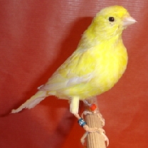 2008_119.jpg