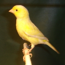 2008_113.jpg