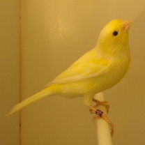2009_51.jpg