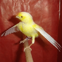 2009_58.jpg