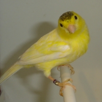 2009_53.jpg