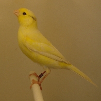 2009_56.jpg