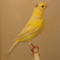 2009_63.jpg