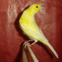 2009_101.jpg
