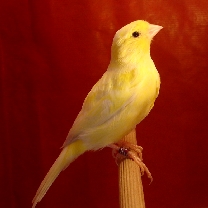 2009_55.jpg