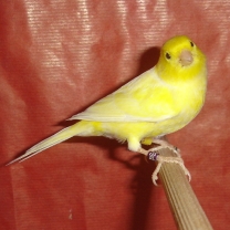 2009_57.jpg