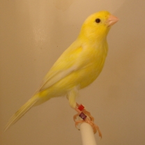 2009_103.jpg