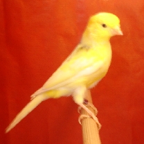 2009_61.jpg