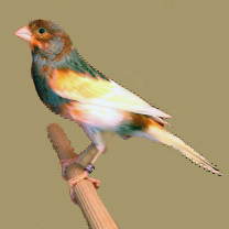 2009_106_6_p.jpg