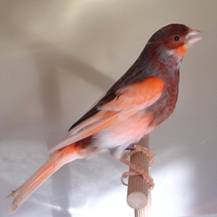 2009_106_6.jpg