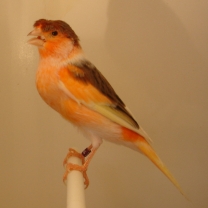 2009_04.jpg