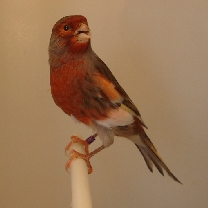 2009_03.jpg
