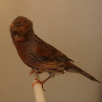 2009_01.jpg