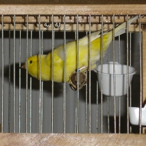 11_26.jpg