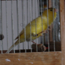 12_130.jpg