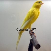 13_49.jpg