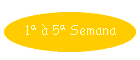 1� � 5� Semana