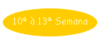 10� � 13� Semana