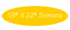 19� � 22� Semana