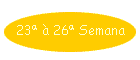 23� � 26� Semana