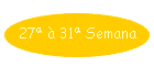 27� � 31� Semana