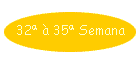 32� � 35� Semana