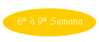 6� � 9� Semana